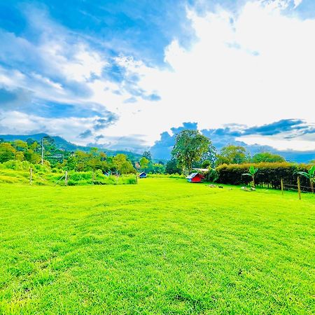 Ecoxplora-Zona De Camping Хардин Экстерьер фото