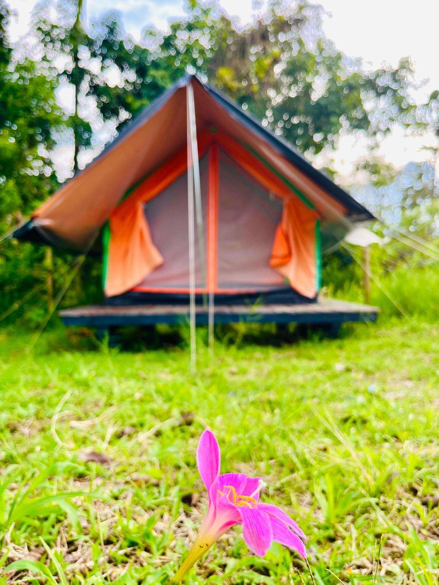 Ecoxplora-Zona De Camping Хардин Экстерьер фото