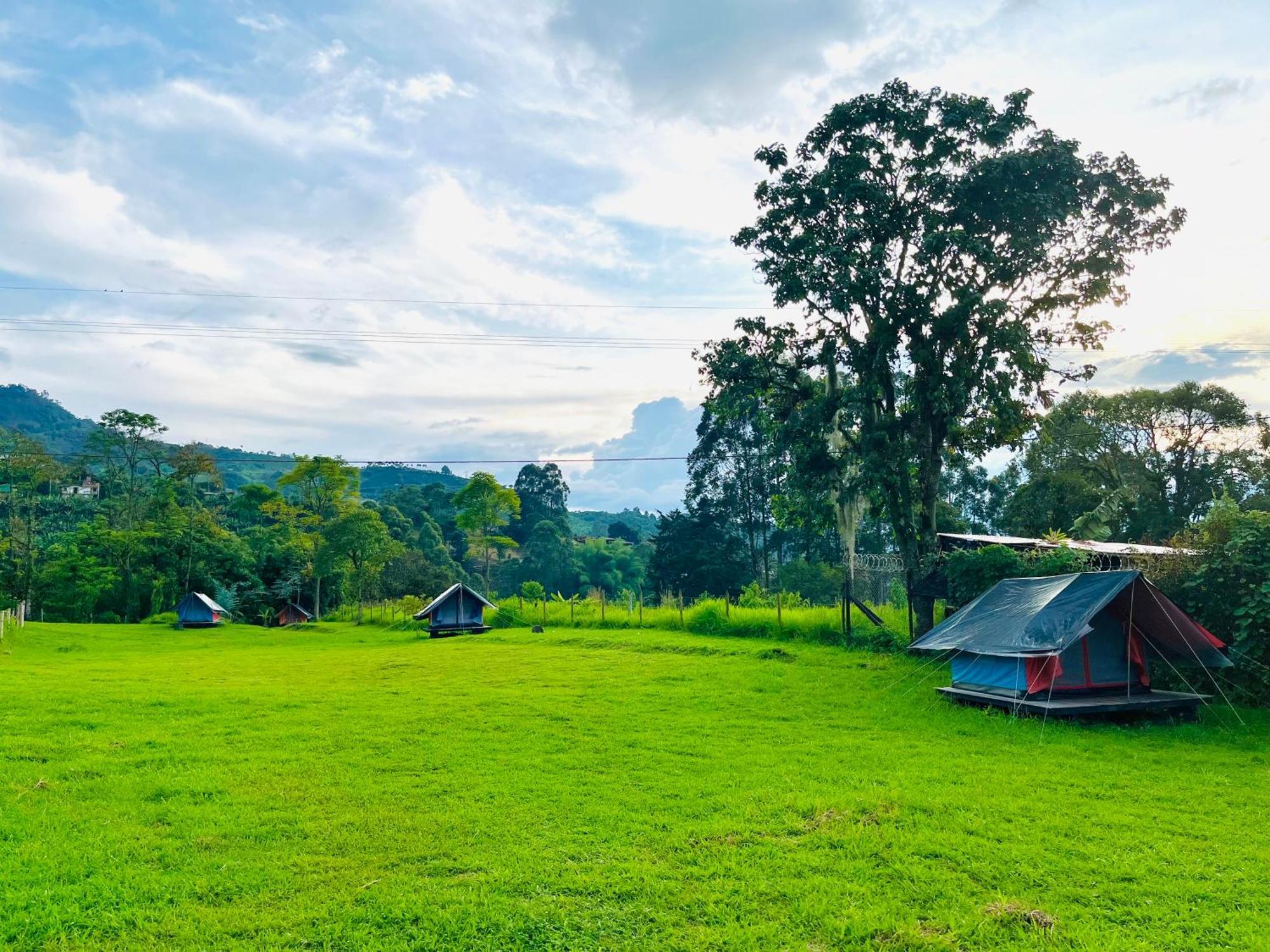 Ecoxplora-Zona De Camping Хардин Экстерьер фото